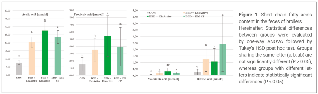 Figure 1. Short chain fatty acids content in the feces of broilers. Hereinafter: Statistical differences between groups were evaluated by one-way ANOVA followed by Tukey’s HSD post hoc test. Groups sharing the same letter (a, b, ab) are not significantly different (P > 0.05), whereas groups with different letters indicate statistically significant differences (P < 0.05).