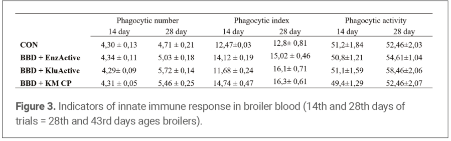 Figure 3. Indicators of innate immune response in broiler blood (14th and 28th days of trials = 28th and 43rd days ages broilers).
