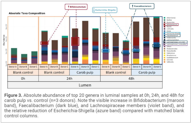 Figure 3. Absolute abundance of top 20 genera in luminal samples at 0h, 24h, and 48h for carob pulp vs. control (n=3 donors). Note the visible increase in Bifidobacterium (maroon band), Faecalibacterium (dark blue), and Lachnospiraceae members (violet band), and the relative reduction of Escherichia-Shigella (azure band) compared with matched blank control columns.