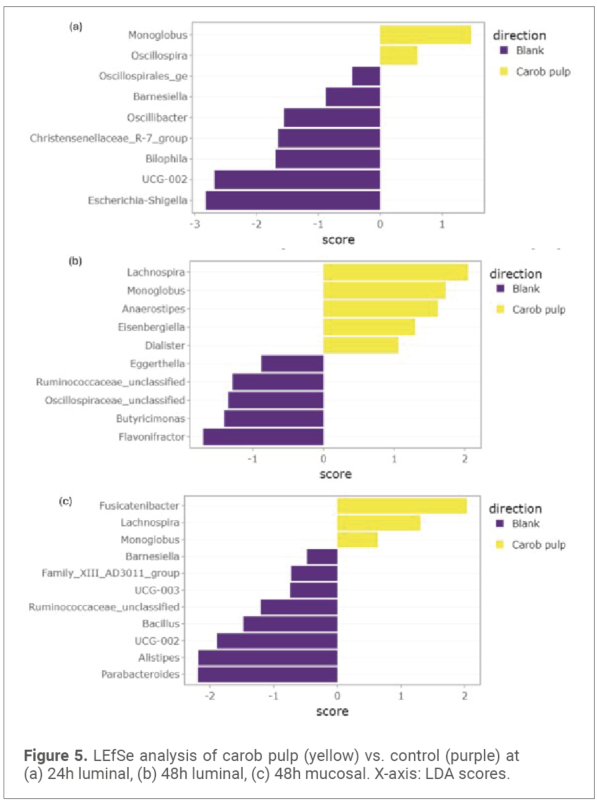 Figure 5. LEfSe analysis of carob pulp (yellow) vs. control (purple) at (a) 24h luminal, (b) 48h luminal, (c) 48h mucosal. X-axis: LDA scores.